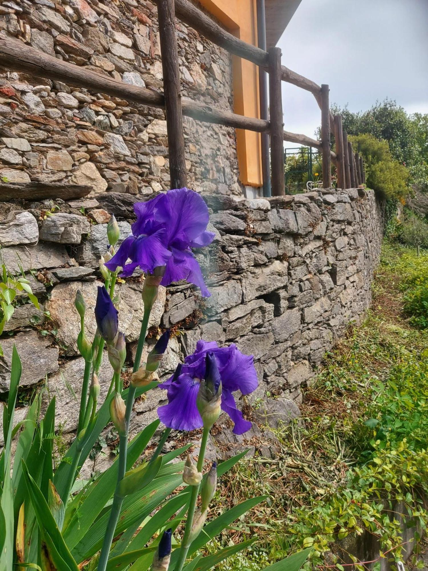 La Nave B&B Monteggio Exterior foto